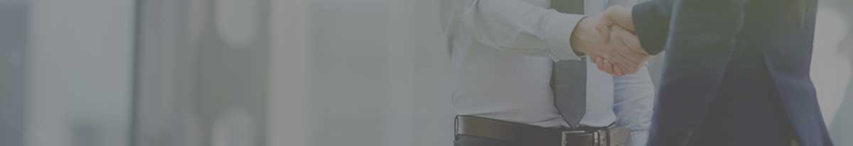 Professional Services